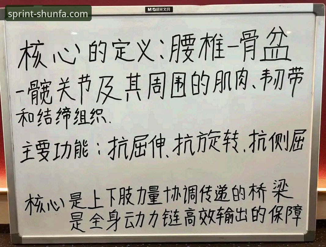 从入门到精通：资深用户分享顺发体育平台官方下载与使用心得